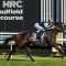 Seymour Cup 2026 – Tips, Field, Horses, Odds & $100 Betting Preview