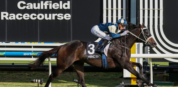 Seymour Cup 2026 – Tips, Field, Horses, Odds & $100 Betting Preview