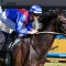 Zambardo ruled out of Cox Plate
