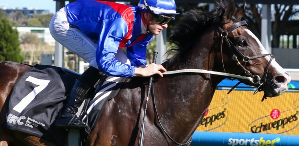 Zambardo ruled out of Cox Plate