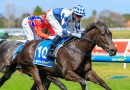 Thousand Guineas Likely Field – 2026