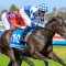 Thousand Guineas Likely Field – 2026