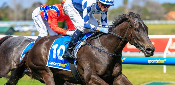 Thousand Guineas Likely Field – 2026