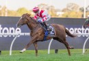 Can Skyhook soar again in Silver Eagle?