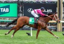 Cosmic Crusader heads odds in lottery Caulfield Cup betting
