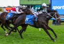 Angel Capital confirmed as final horse in The Everest