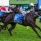 Angel Capital confirmed as final horse in The Everest