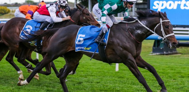 Angel Capital confirmed as final horse in The Everest