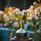 58 horses vie for spot in 2026 Melbourne Cup field