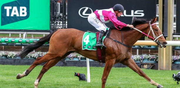Cosmic Crusader heads odds in lottery Caulfield Cup betting