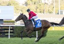 Rain gives Ninja a fighting hope in The Everest