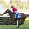 Rain gives Ninja a fighting hope in The Everest