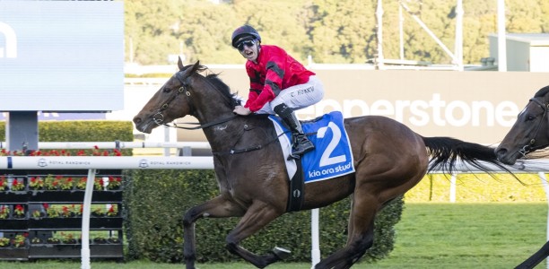 Rain gives Ninja a fighting hope in The Everest