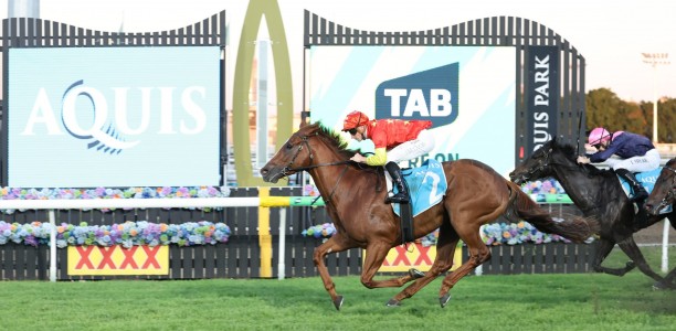 Home ground return a boost for Beadman