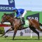 Silver Eagle Tips, Field, Betting, Odds & Horse Previews – 2026