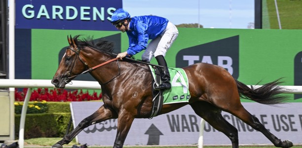 Silver Eagle Tips, Field, Betting, Odds & Horse Previews – 2026