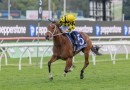 Autumn Glow crowns her unbeaten Sydney spring in the King Charles