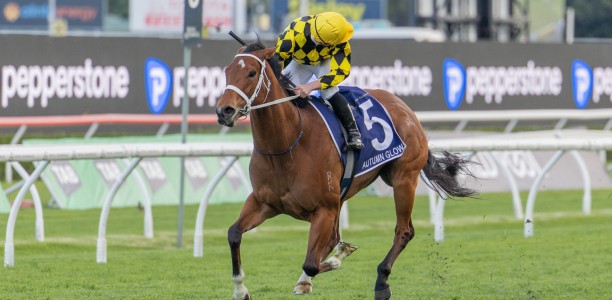 Autumn Glow crowns her unbeaten Sydney spring in the King Charles