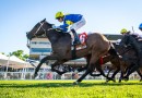 Hot And High makes it seven from eight in R S Crawford Stakes