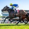 Hot And High makes it seven from eight in R S Crawford Stakes