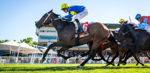 Hot And High makes it seven from eight in R S Crawford Stakes