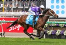 Cox Plate 2026 Which horses are in the field?