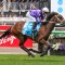 Cox Plate 2026 Which horses are in the field?