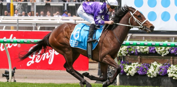 Cox Plate 2026 Which horses are in the field?