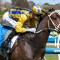 Blind faith earns colt a crack at Cox Plate