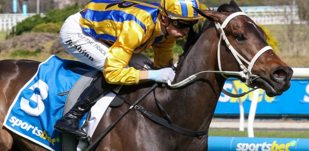 Blind faith earns colt a crack at Cox Plate