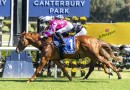 Crescent King short odds in Brian Crowley Stakes betting
