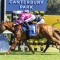 Crescent King short odds in Brian Crowley Stakes betting