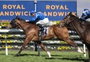 The Euphrates heads odds in quality Geelong Cup field