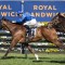 The Euphrates heads odds in quality Geelong Cup field
