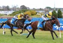 Cox Plate Tips, Field, Betting, Odds & Horse Previews – 2026