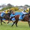 Cox Plate Tips, Field, Betting, Odds & Horse Previews – 2026