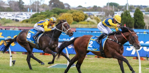 Cox Plate Tips, Field, Betting, Odds & Horse Previews – 2026