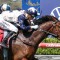 Victoria Derby plans open up after Geelong Classic win