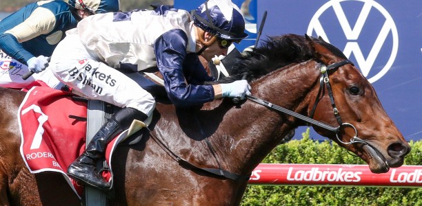 Victoria Derby plans open up after Geelong Classic win