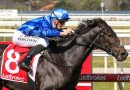 Melbourne Cup 2026: New favourite after import impresses in Geelong
