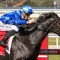 Melbourne Cup 2026: New favourite after import impresses in Geelong