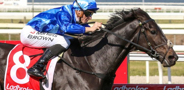 Melbourne Cup 2026: New favourite after import impresses in Geelong