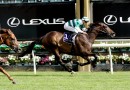 Hickman chasing a first Melbourne Cup berth