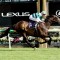 Hickman chasing a first Melbourne Cup berth
