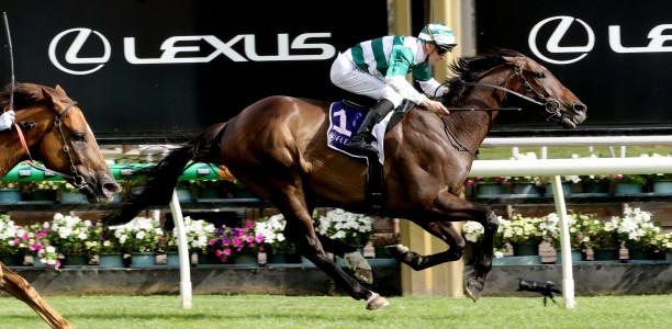 Hickman chasing a first Melbourne Cup berth