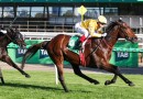 Sir Delius heads odds in wide open Cox Plate field