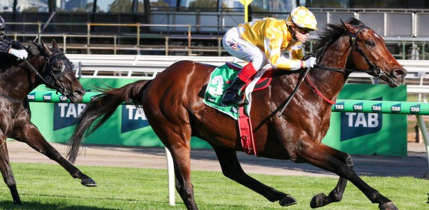 Sir Delius heads odds in wide open Cox Plate field