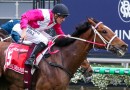 Cosmic Crusader claims the Cox Plate