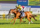 Declichy Boulevard makes it five for the Waller stable