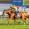 Declichy Boulevard makes it five for the Waller stable